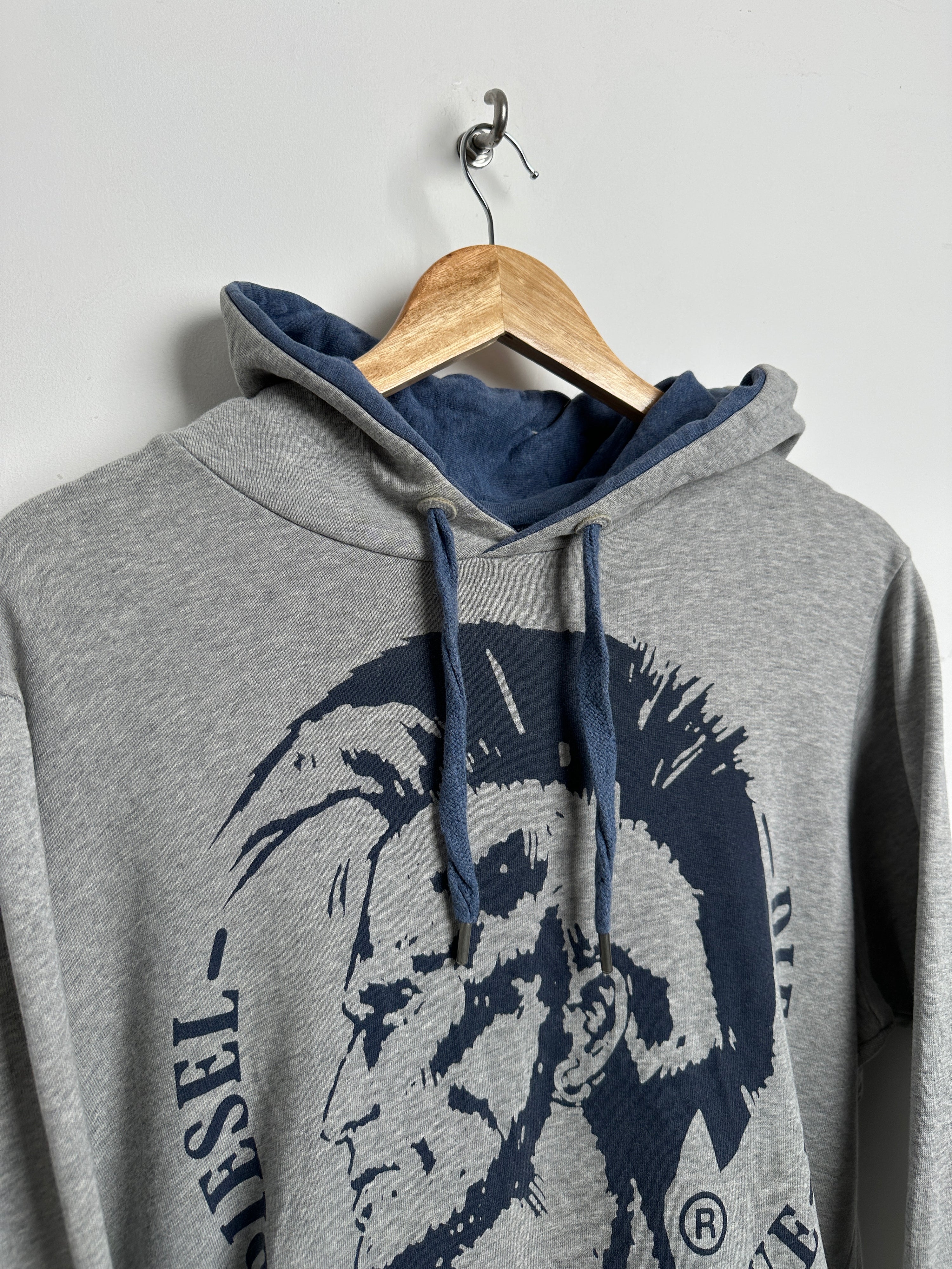 Diesel-co hoodie in grey